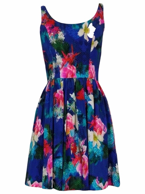 Amanda Uprichard Dresses & Skirts - Amanda Uprichard Blue Floral Fit & Flare Dress